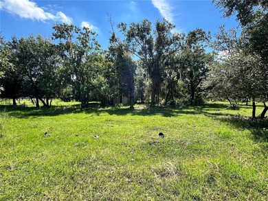 (private lake, pond, coastal) Acreage For Sale in Seffner Florida