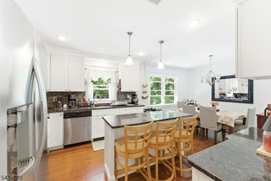 Truly turnkey bilevel in desirable Hopatcong! This beautifully - photo 26