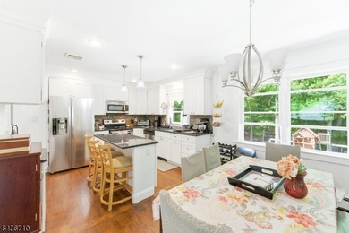 Truly turnkey bilevel in desirable Hopatcong! This beautifully - photo 27