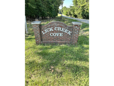 Cedar Creek Lake Lot For Sale in Russellville Alabama