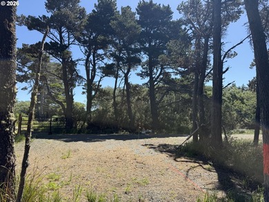 WEST BANDON LOT, .34 acre, in the developing Donut Hole area - photo 11