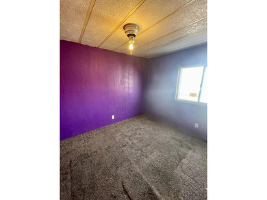 3 Bed, 2 Bath manufactured home with great potential - photo 14