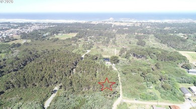 WEST BANDON LOT, .34 acre, in the developing Donut Hole area - photo 14