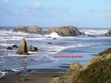 WEST BANDON LOT, .34 acre, in the developing Donut Hole area - photo 15