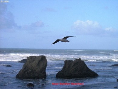 WEST BANDON LOT, .34 acre, in the developing Donut Hole area - photo 16