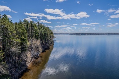 If you're looking for big space, & big water, this home delivers - photo 5
