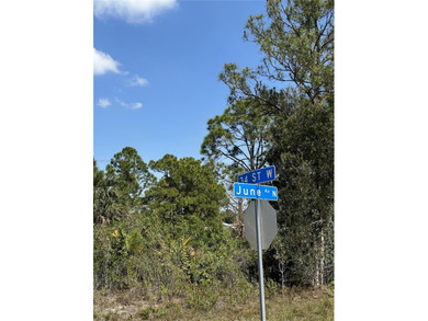 Lehigh Acres Area Lot For Sale in Lehigh Acres Florida