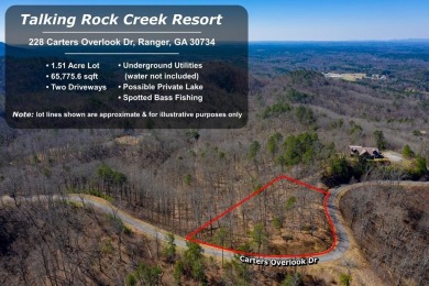 Lake Lot For Sale in Ranger, Georgia