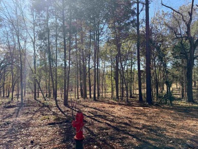 Lake Lot For Sale in Tyler, Texas