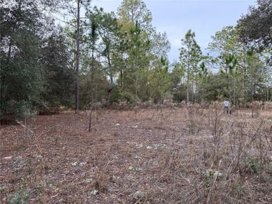 Bonable Lake Lot For Sale in Dunnellon Florida