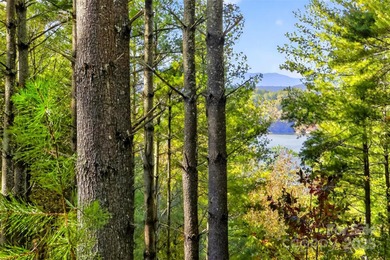 Lake Acreage For Sale in Nebo, North Carolina