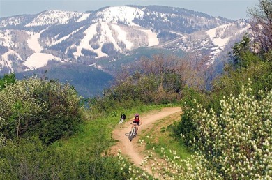 608 Yampa is unlike any other residence in Steamboat. The - photo 12