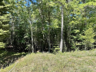 Spacious building site in Hemlock Views just west of Manistique - photo 12