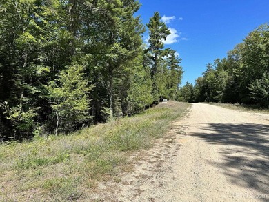 Spacious building site in Hemlock Views just west of Manistique - photo 13