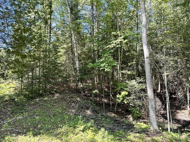 Spacious building site in Hemlock Views just west of Manistique - photo 15