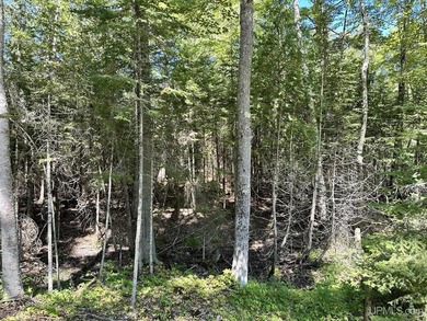 Spacious building site in Hemlock Views just west of Manistique - photo 16