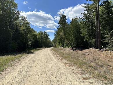 Spacious building site in Hemlock Views just west of Manistique - photo 17