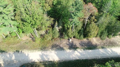 Spacious building site in Hemlock Views just west of Manistique - photo 21