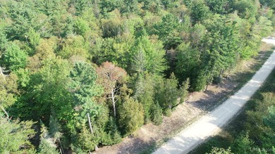 Spacious building site in Hemlock Views just west of Manistique - photo 22
