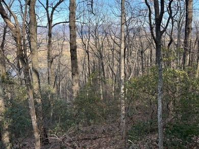 #72780-We're excited to bring you Parcel 1 of three different - photo 25