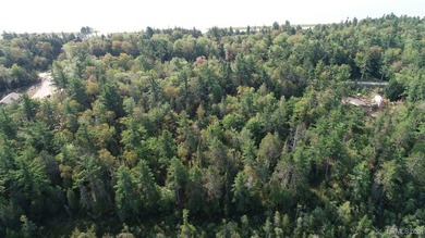 Spacious building site in Hemlock Views just west of Manistique - photo 25