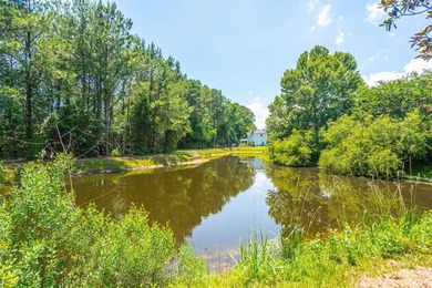 207 Nelliefield Creek Drive is a move-in ready pond-view home in - photo 8