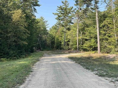 Spacious building site in Hemlock Views just west of Manistique - photo 33