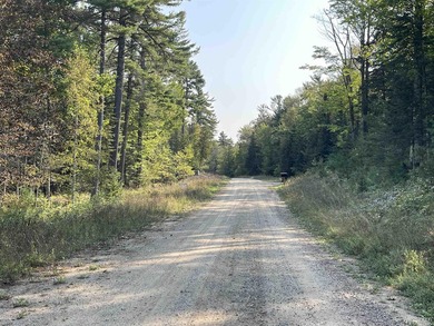 Spacious building site in Hemlock Views just west of Manistique - photo 34