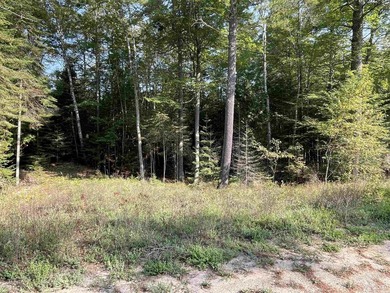 Spacious building site in Hemlock Views just west of Manistique - photo 35