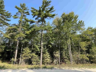 Spacious building site in Hemlock Views just west of Manistique - photo 38
