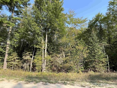 Spacious building site in Hemlock Views just west of Manistique - photo 39