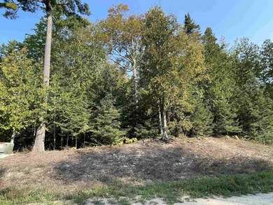 Spacious building site in Hemlock Views just west of Manistique - photo 41