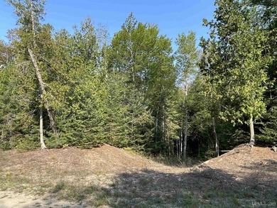 Spacious building site in Hemlock Views just west of Manistique - photo 43