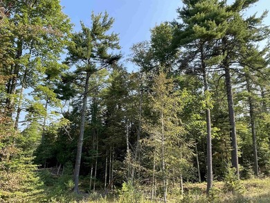 Spacious building site in Hemlock Views just west of Manistique - photo 44