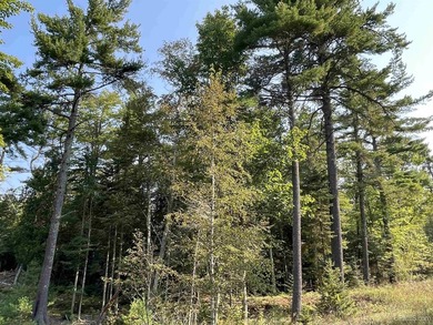 Spacious building site in Hemlock Views just west of Manistique - photo 45