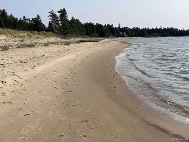 Spacious building site in Hemlock Views just west of Manistique - photo 48