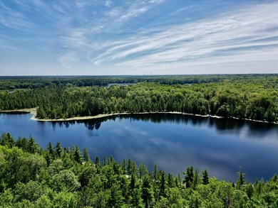 David Lake Acreage For Sale in Minocqua Wisconsin