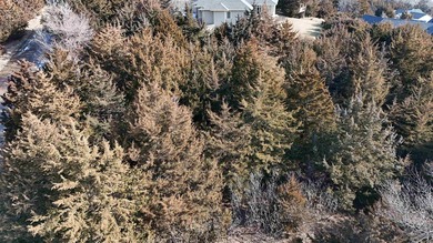 Looking to build your piece of paradise with an unobstructed - photo 10