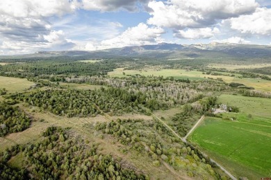 Lake Lot For Sale in Mancos, Colorado