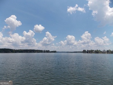 MUST SEE!!! DOCK AND BOAT SLIP WITH LIFT ON DEEP WATER WITH 180 - photo 11