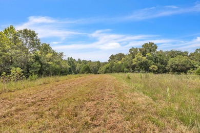 Invest Where Nature Meets Opportunity! This 56-slot RV park sits - photo 11
