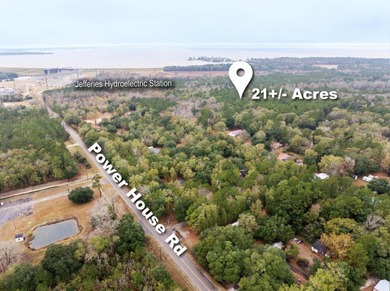 Approximately 21+/- wooded acres located on Mount Pleasant Drive - photo 12