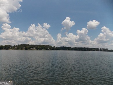 MUST SEE!!! DOCK AND BOAT SLIP WITH LIFT ON DEEP WATER WITH 180 - photo 12