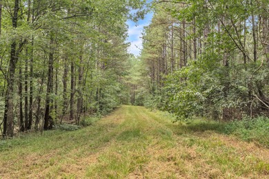 Invest Where Nature Meets Opportunity! This 56-slot RV park sits - photo 14