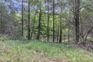 Invest Where Nature Meets Opportunity! This 56-slot RV park sits - photo 15