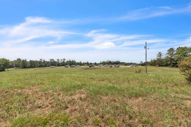 Invest Where Nature Meets Opportunity! This 56-slot RV park sits - photo 21