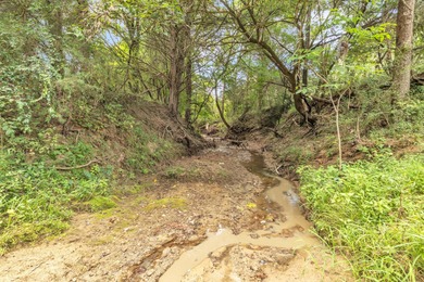 Invest Where Nature Meets Opportunity! This 56-slot RV park sits - photo 22
