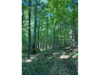 Invest Where Nature Meets Opportunity! This 56-slot RV park sits - photo 23