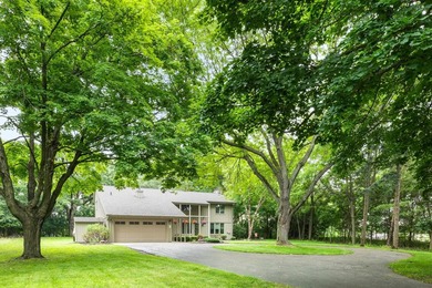 Discover this 2,800 sq ft wood clad contemporary nestled on one - photo 5