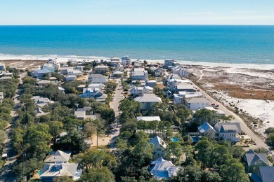 Welcome to your dream Gulf view beach house in historic Grayton - photo 37